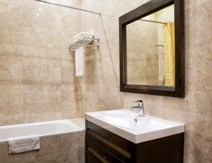 Стандарт+ 2-местный 1-комнатный  в Главном корпусе - Отель «Прометей Клуб»